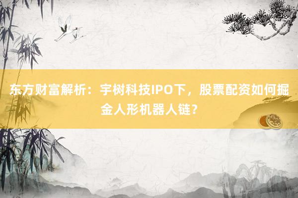 东方财富解析：宇树科技IPO下，股票配资如何掘金人形机器人链？