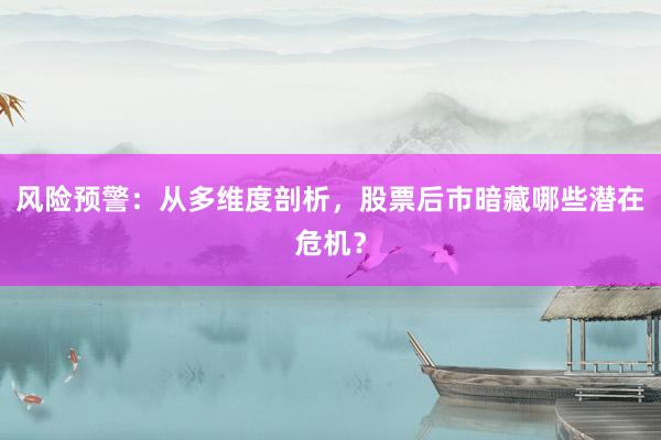 风险预警：从多维度剖析，股票后市暗藏哪些潜在危机？