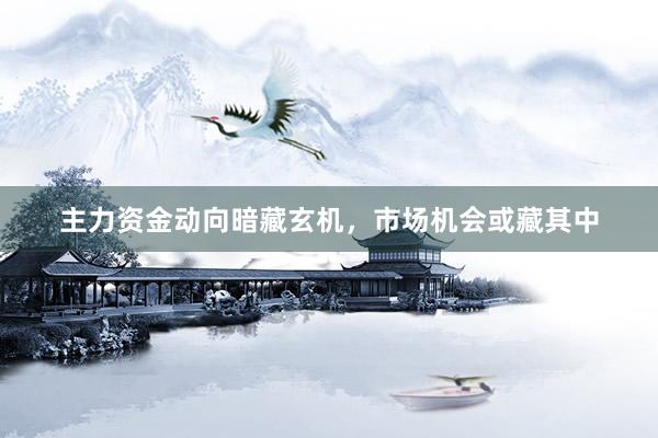 主力资金动向暗藏玄机，市场机会或藏其中