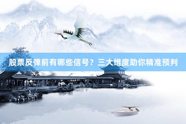 股票反弹前有哪些信号？三大维度助你精准预判