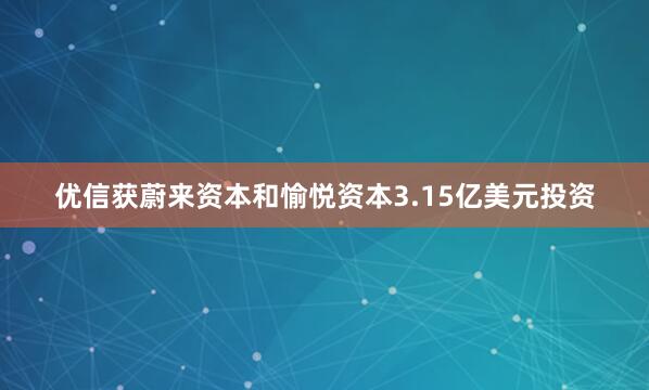 优信获蔚来资本和愉悦资本3.15亿美元投资