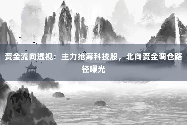 资金流向透视：主力抢筹科技股，北向资金调仓路径曝光