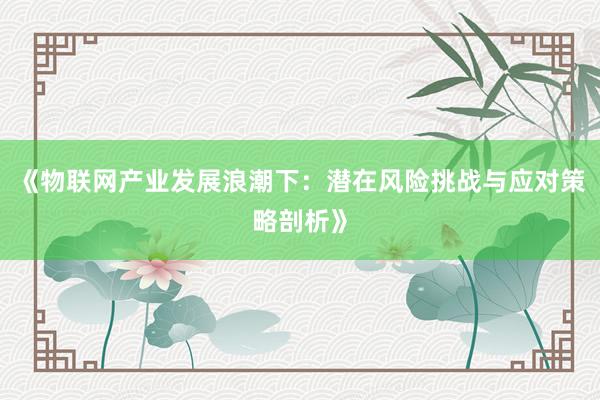 《物联网产业发展浪潮下：潜在风险挑战与应对策略剖析》