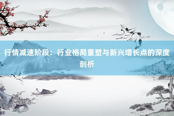 行情减速阶段：行业格局重塑与新兴增长点的深度剖析