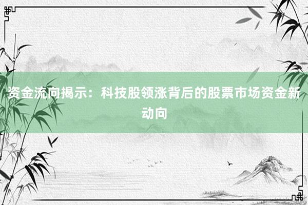 资金流向揭示：科技股领涨背后的股票市场资金新动向