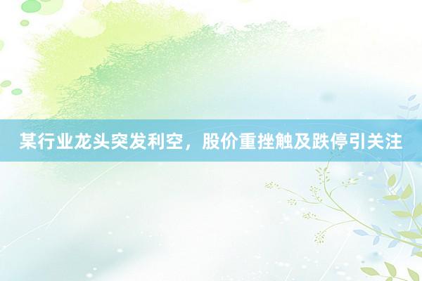 某行业龙头突发利空，股价重挫触及跌停引关注