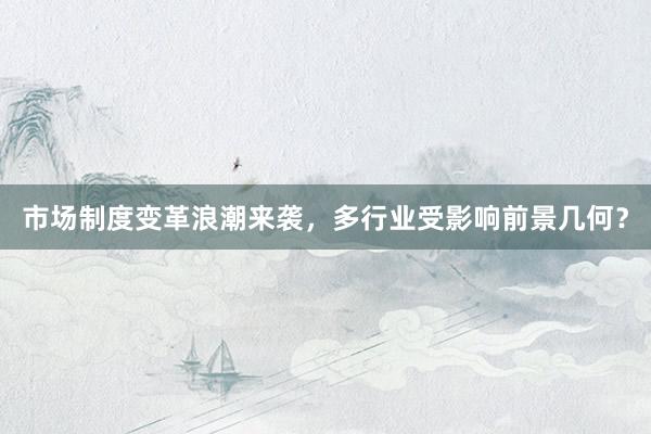 市场制度变革浪潮来袭，多行业受影响前景几何？