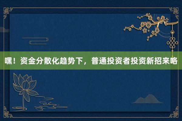 嘿！资金分散化趋势下，普通投资者投资新招来咯
