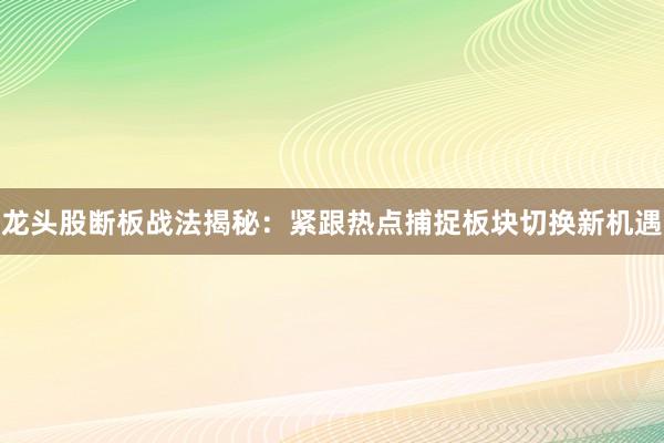 龙头股断板战法揭秘：紧跟热点捕捉板块切换新机遇
