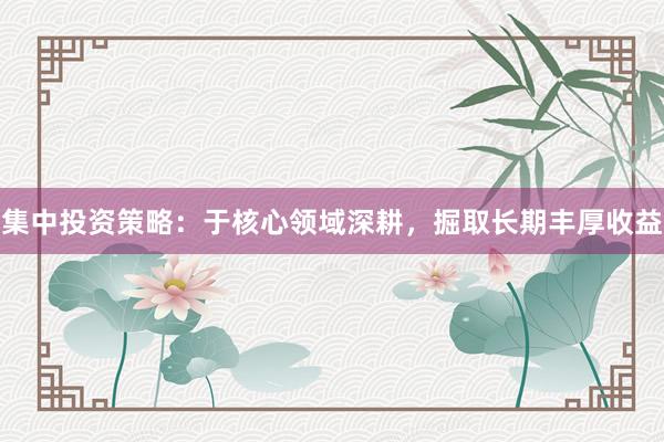 集中投资策略：于核心领域深耕，掘取长期丰厚收益