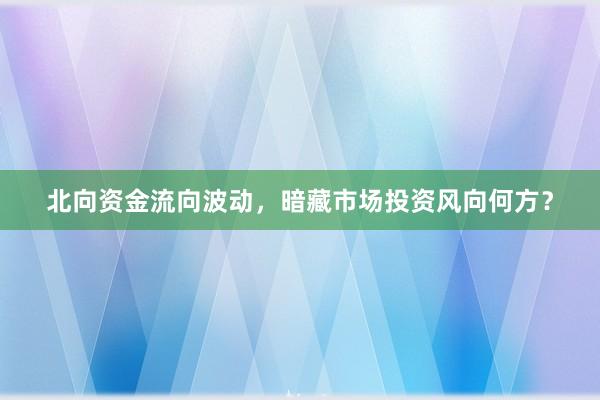北向资金流向波动，暗藏市场投资风向何方？